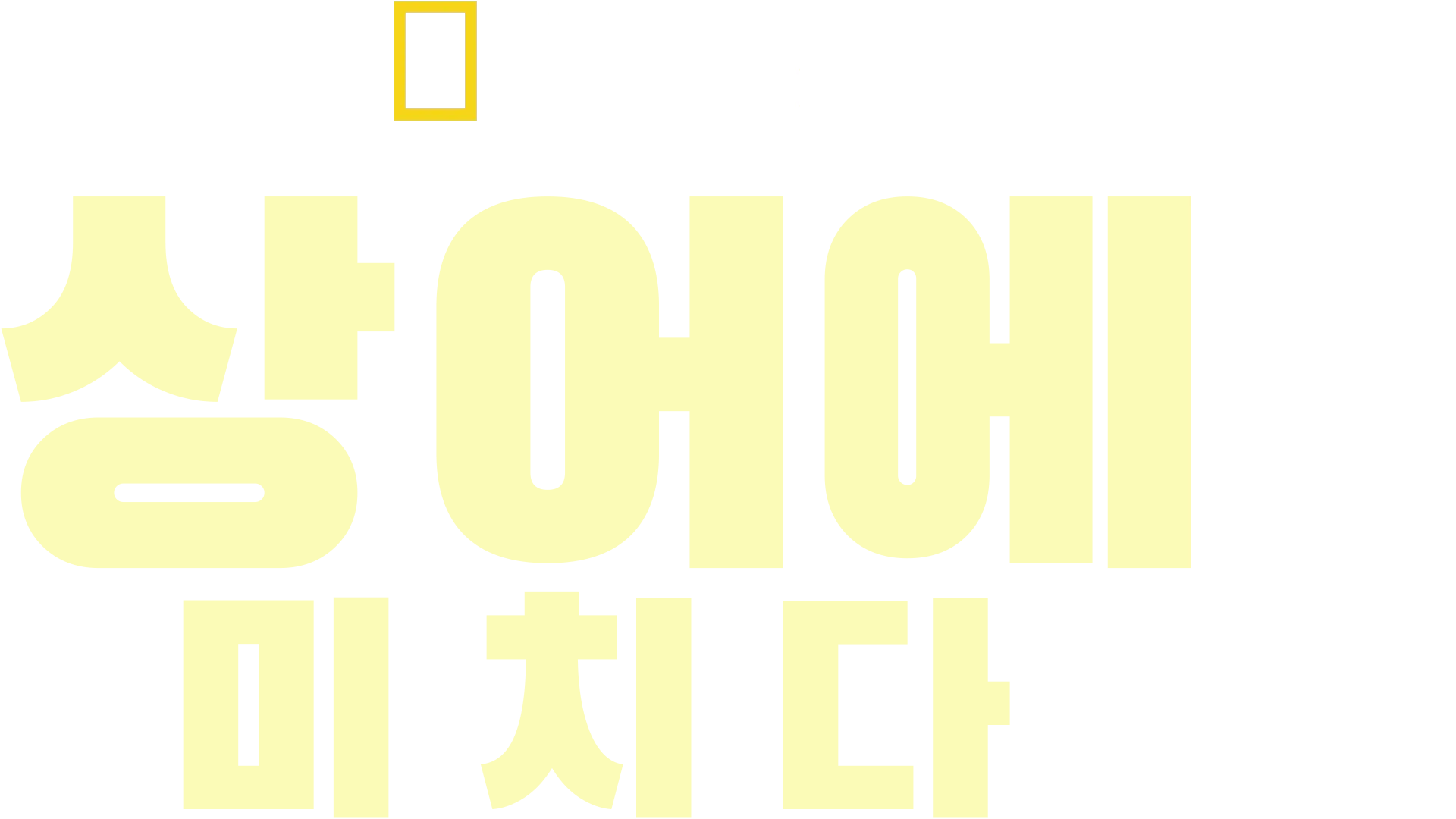 상어에 미치다