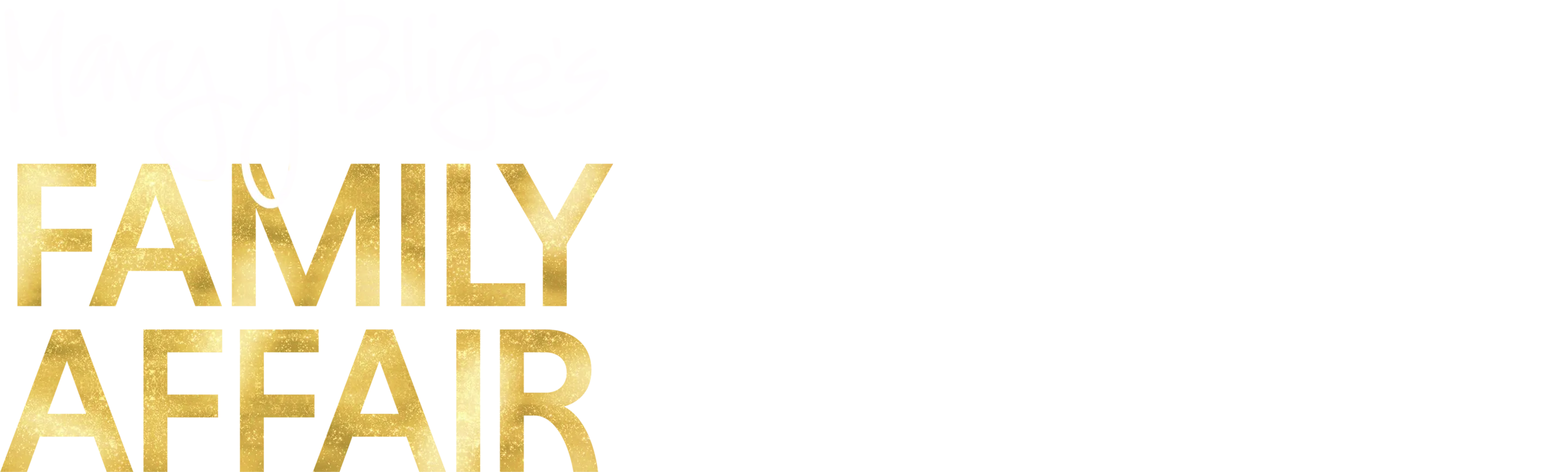 Mary J. Blige's Family Affair