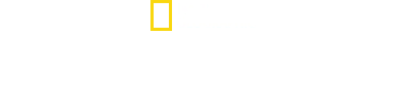 Διακίνηση με τη Μαριάνα Βαν Ζέλερ