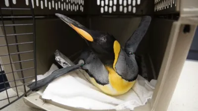 thumbnail - S2:E8 On Pins and Needles