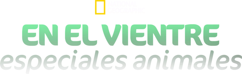 En el Vientre: Especiales Animales