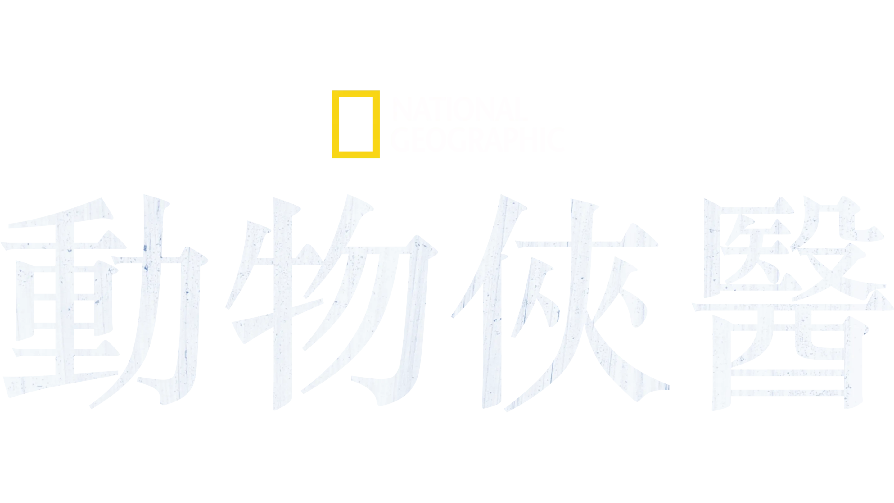 動物俠醫