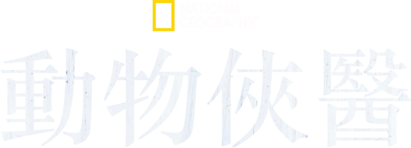 動物俠醫