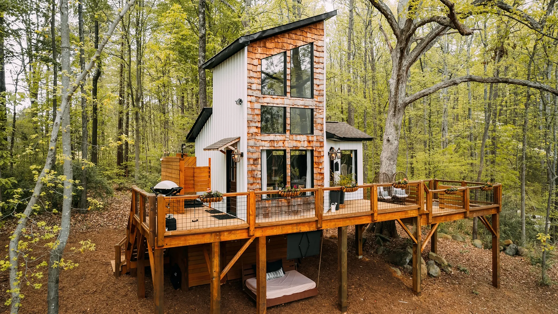 thumbnail - S5:E1 Southern Stays in the Trees