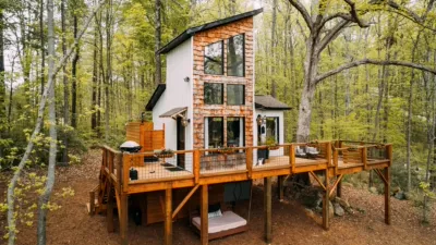 thumbnail - S5:E1 Southern Stays in the Trees