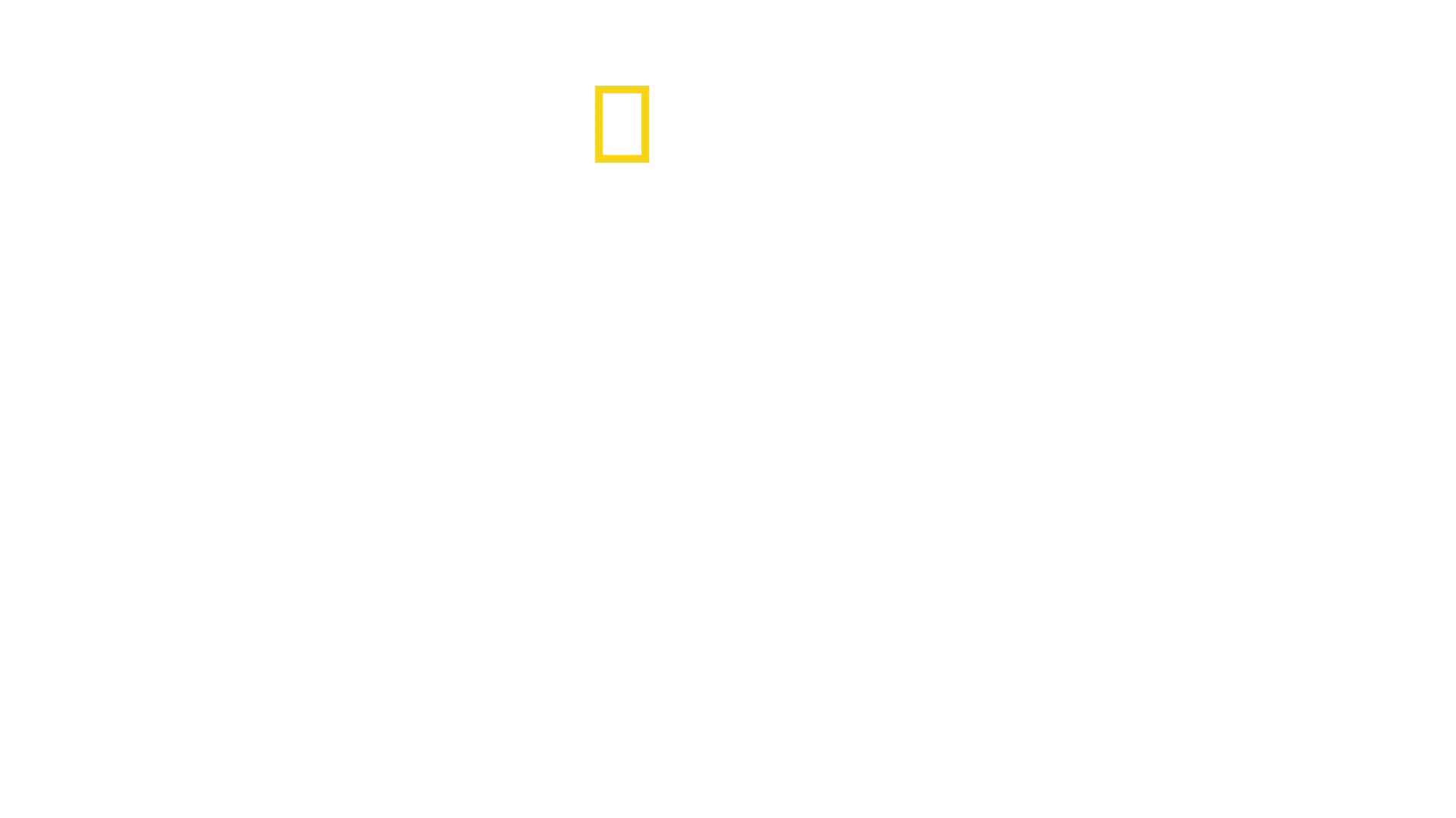 Bobi Wine: Prezident ugandského lidu