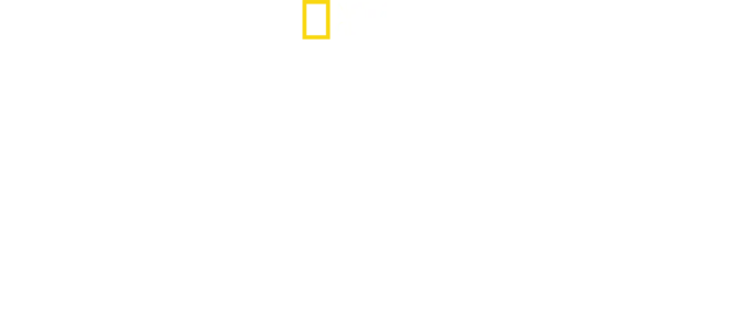 Bobi Wine: Prezident ugandského lidu