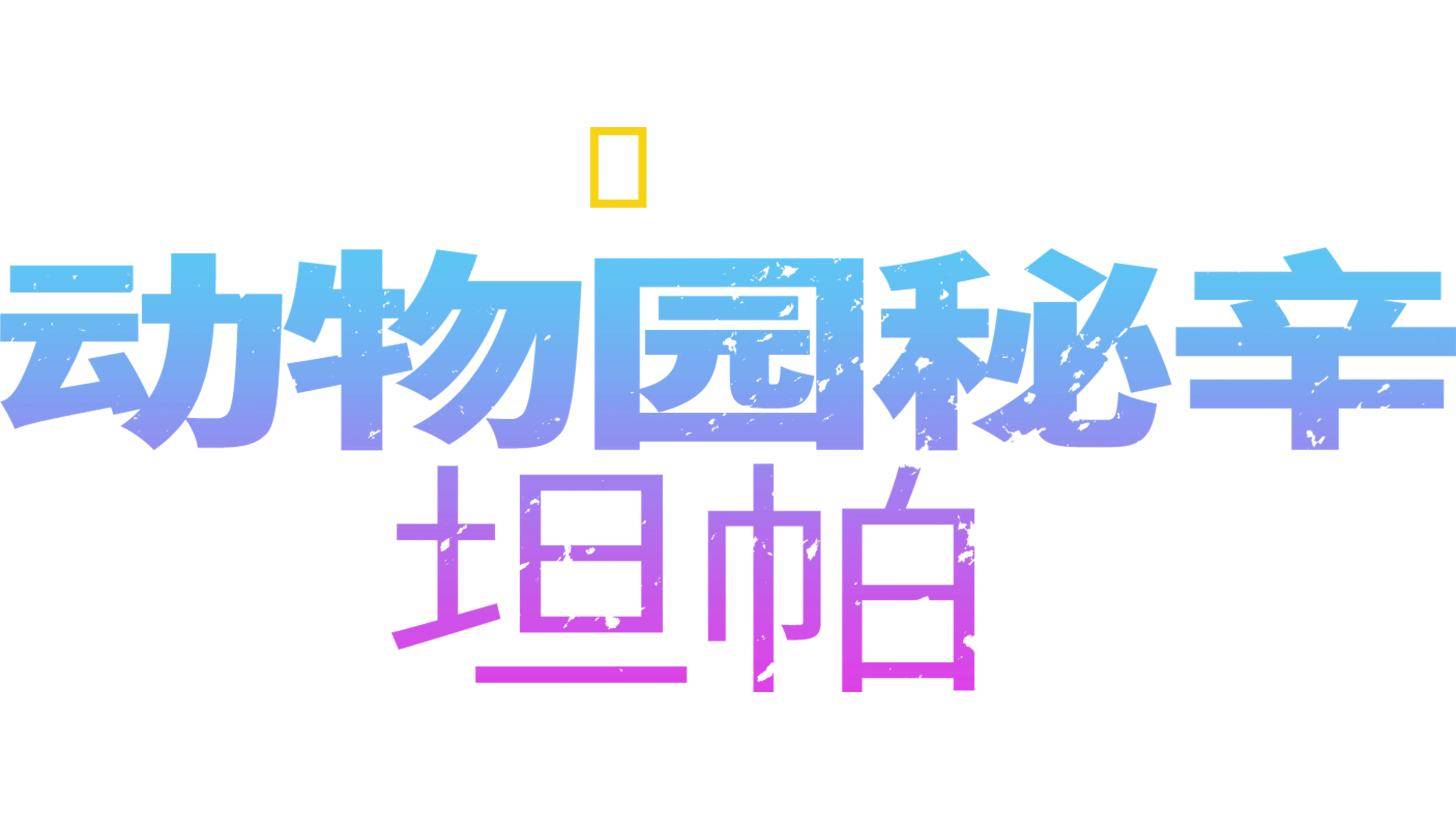 动物园秘辛：坦帕