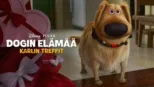 thumbnail - Karlin treffit