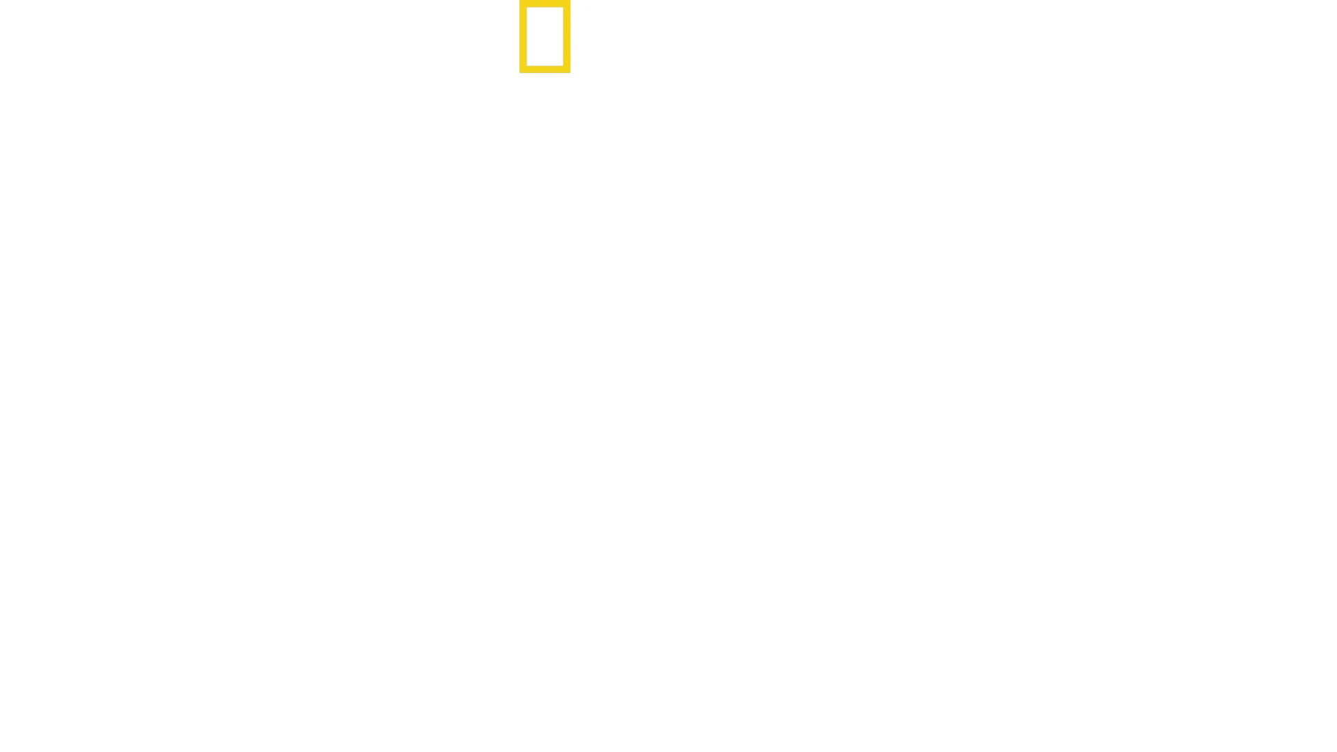 South America's Weirdest Animals