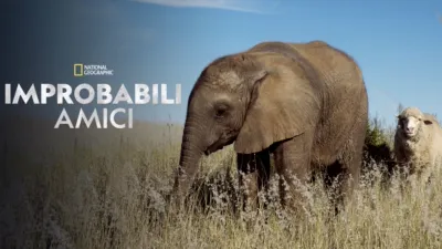 Improbabili amici