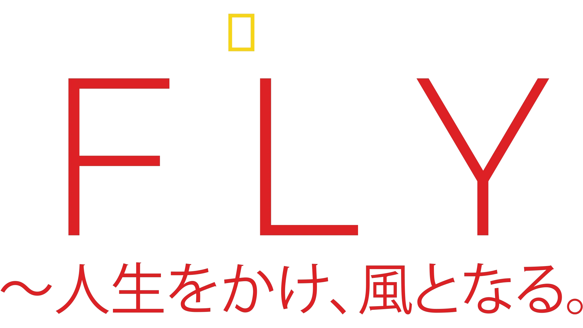 FLY