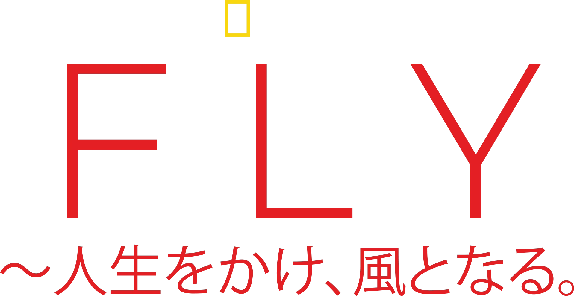 FLY