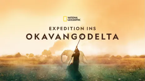 thumbnail - Expedition ins Okavangodelta