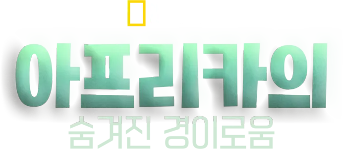 아프리카의 숨겨진 경이로움