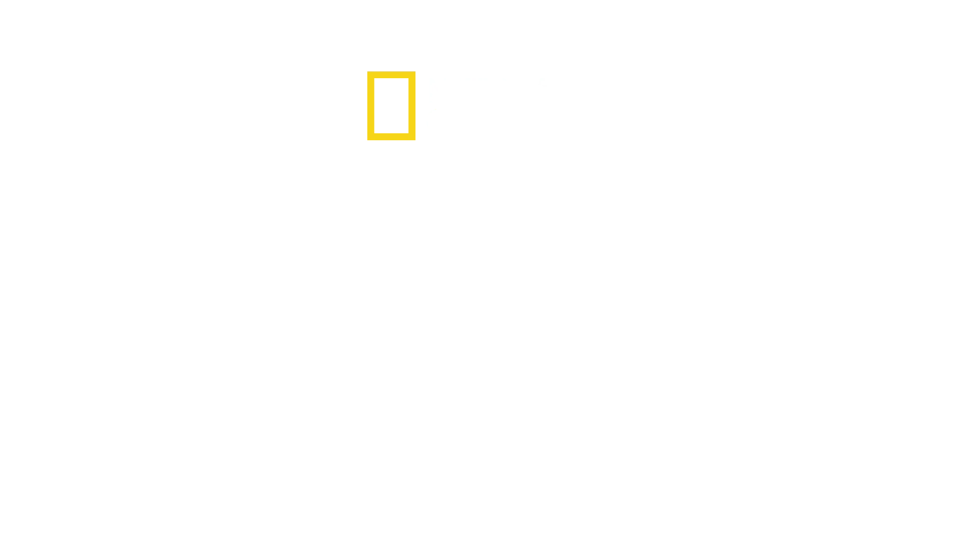 Os Segredos dos Elefantes