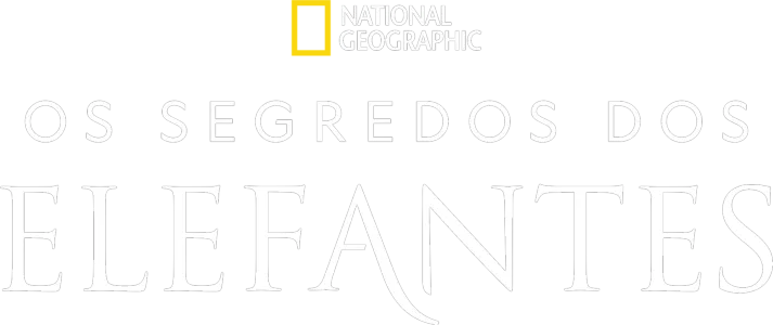 Os Segredos dos Elefantes