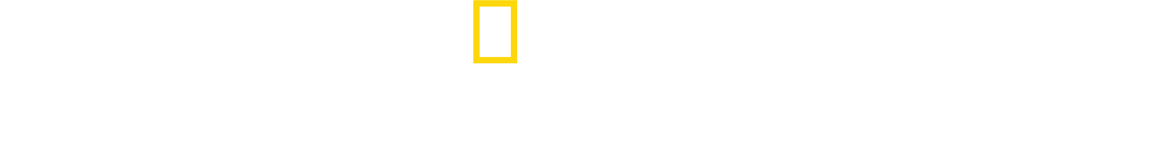 Mestres da Fotografia