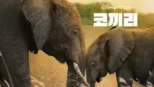 thumbnail - 코끼리