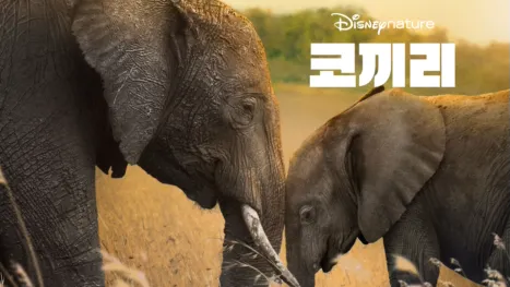 thumbnail - 코끼리