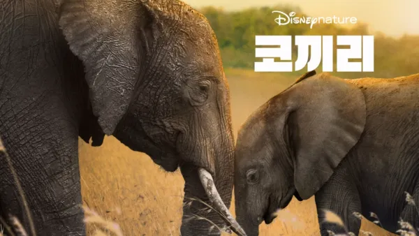 thumbnail - 코끼리