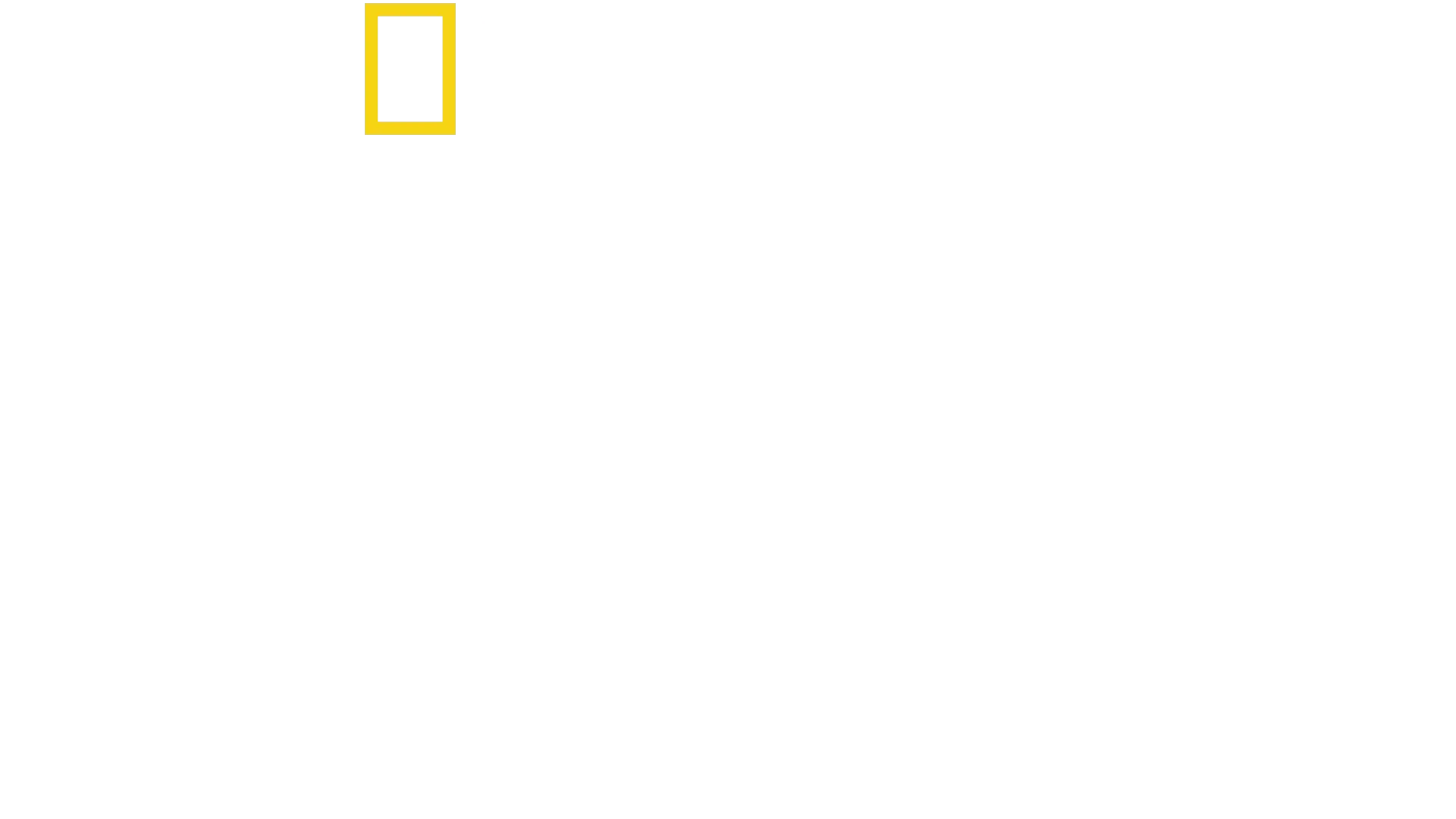 Spuren verlorener Städte mit Albert Lin