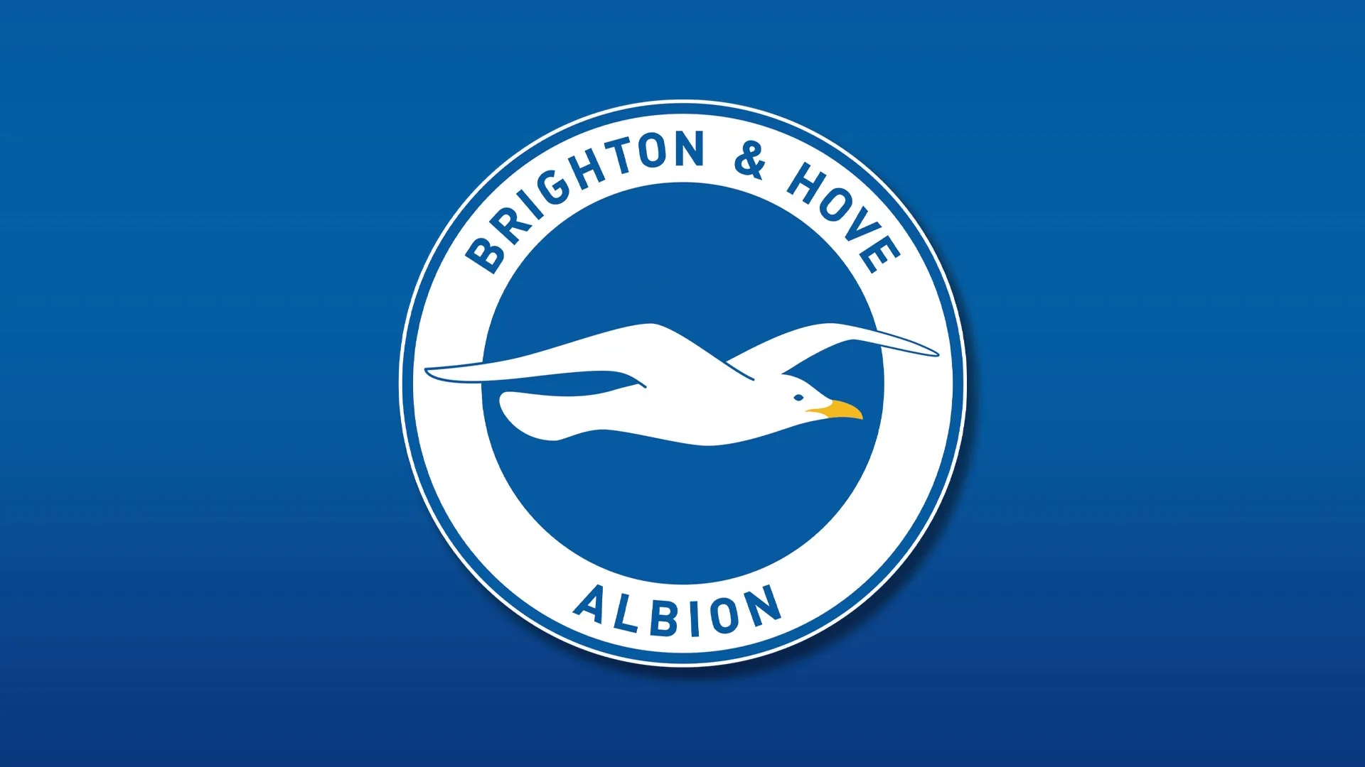 Brighton & Hove Albion