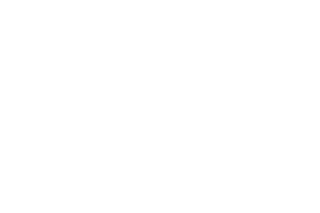 L'enfant qui voulut être roi