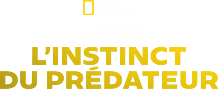 Requins : L'instinct du prédateur