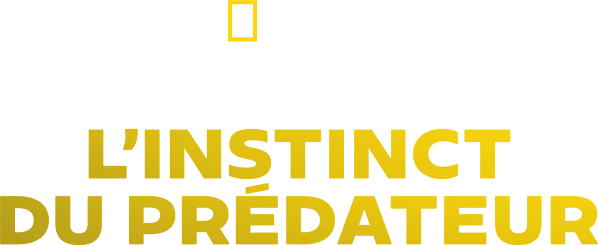 Requins : L'instinct du prédateur