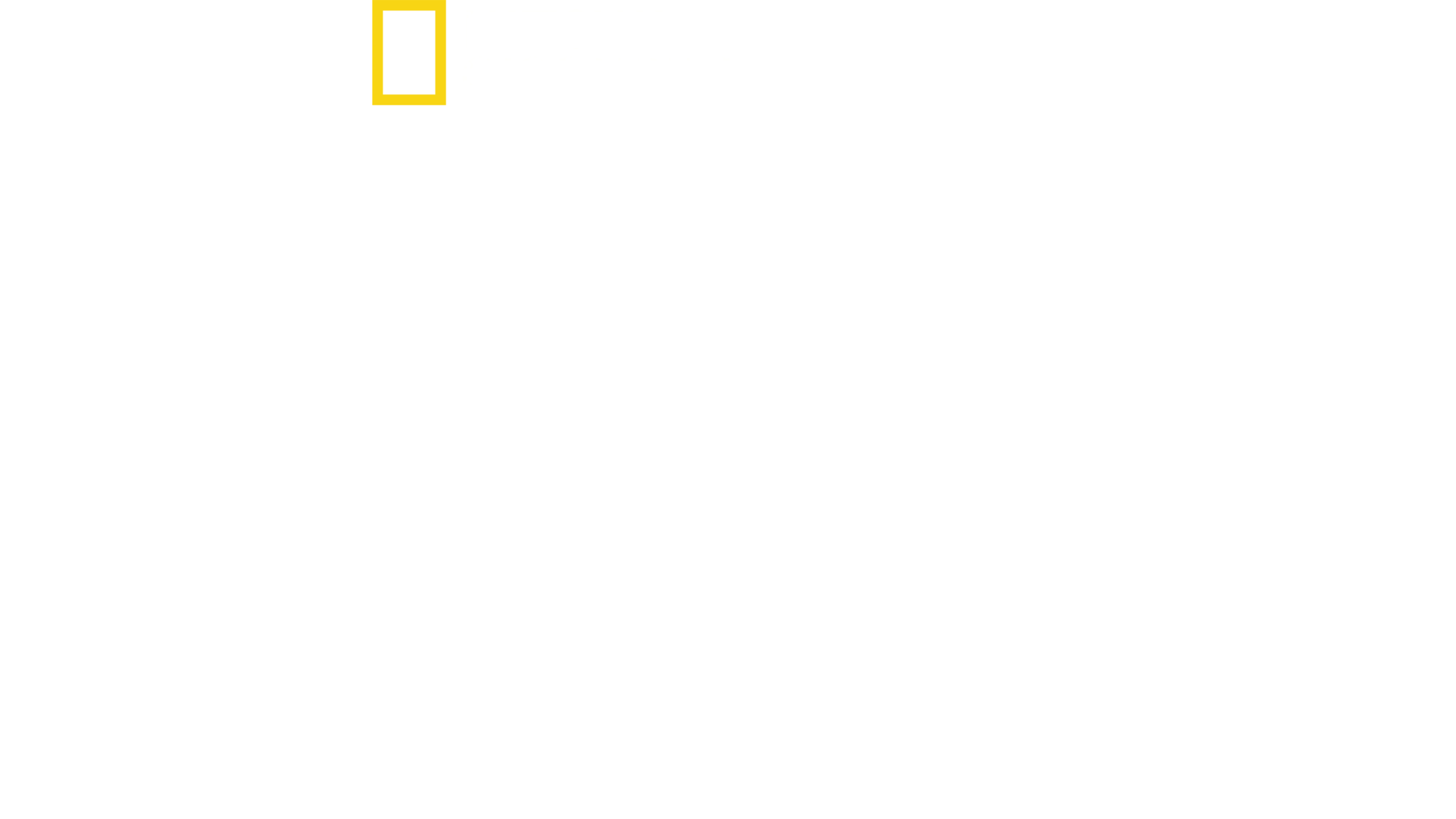 鯊魚寶寶成長記