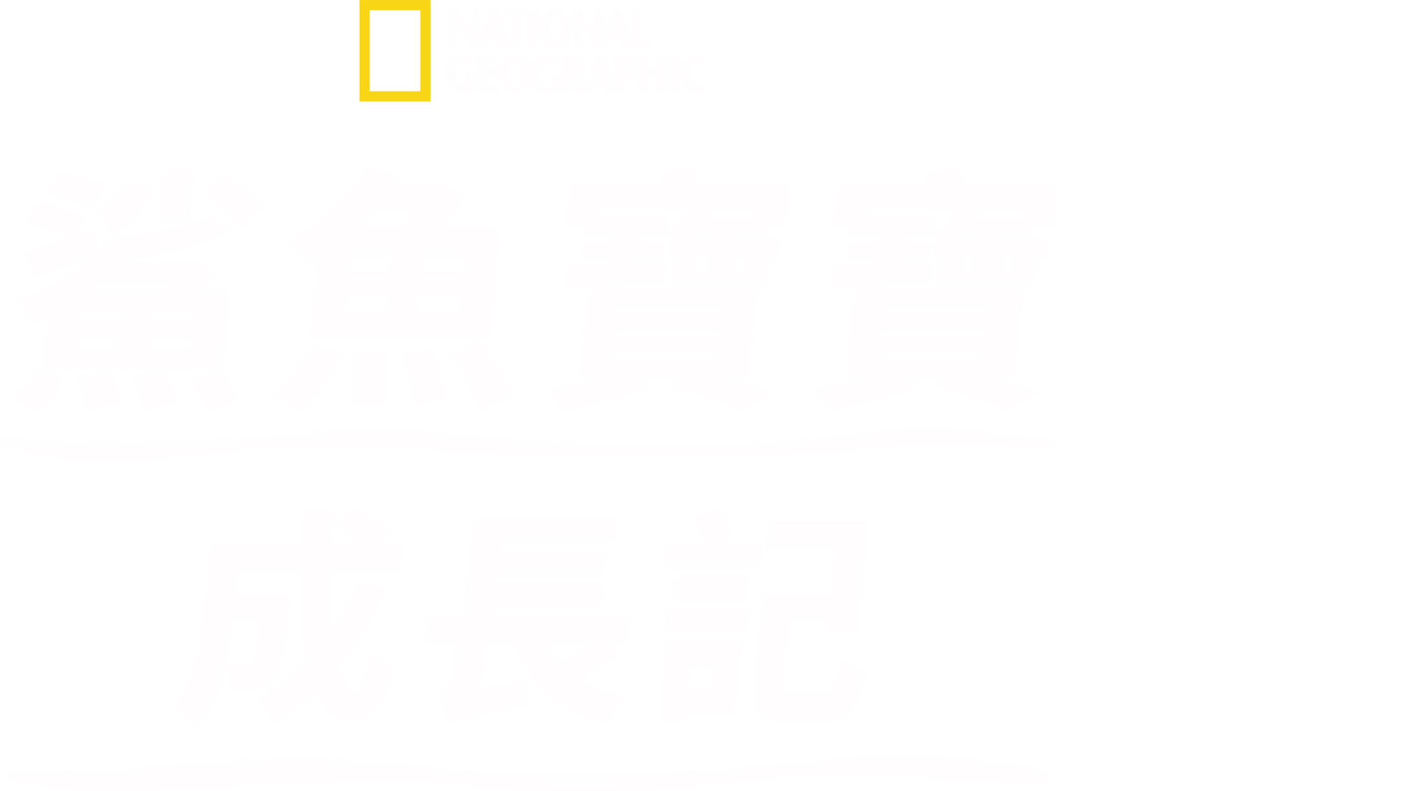 鯊魚寶寶成長記