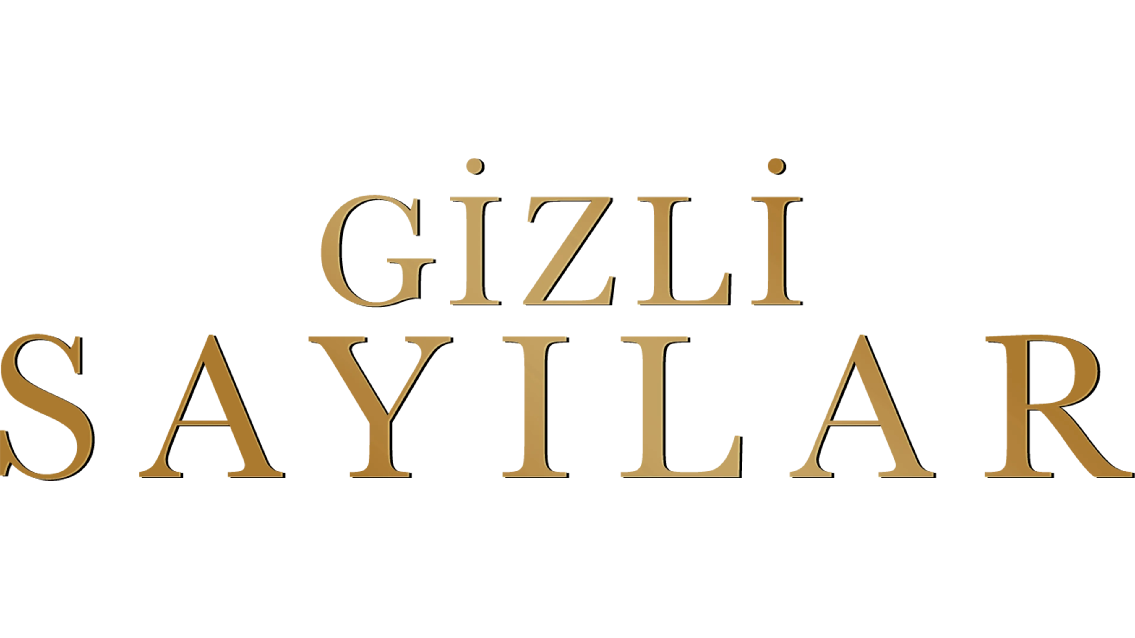 Gizli Sayılar