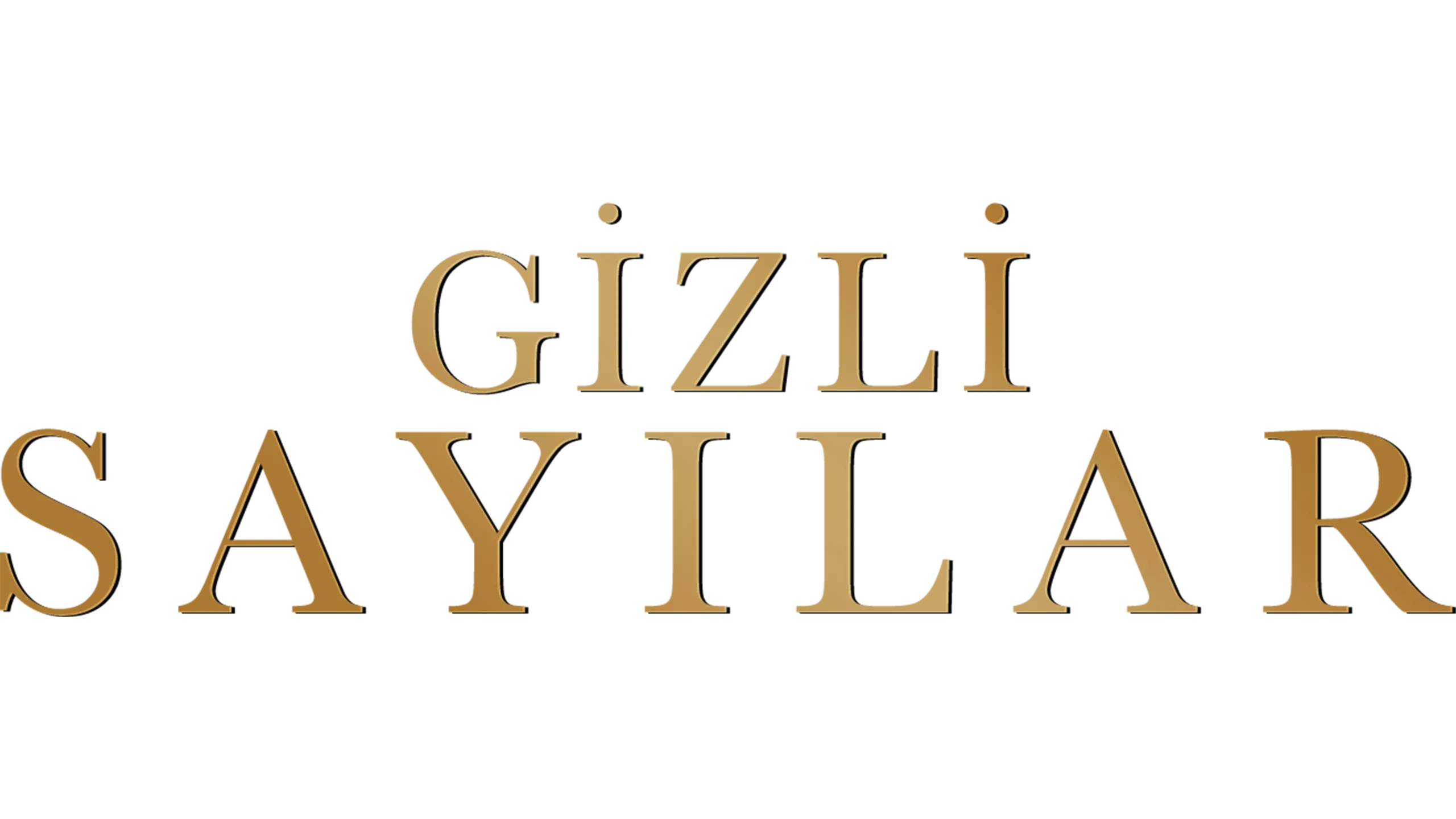 Gizli Sayılar