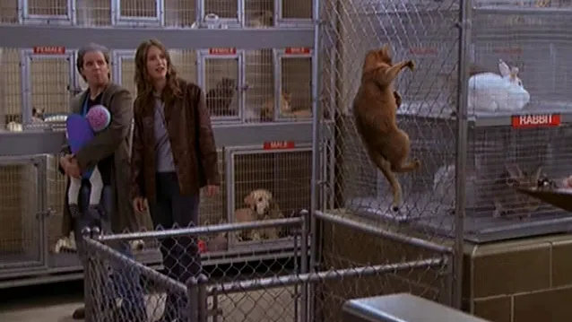 thumbnail - S7:E3 There's A Puma In The Kitchen