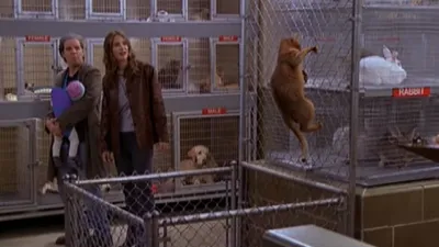 thumbnail - S7:E3 There's A Puma In The Kitchen