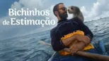 thumbnail - Bichinhos de Estimação