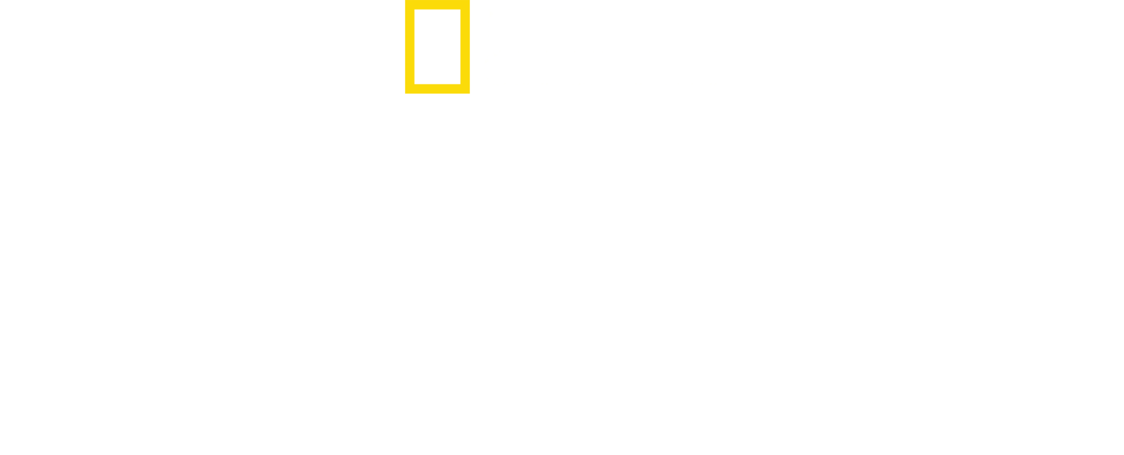 나일강에 잠겨있는 피라미드