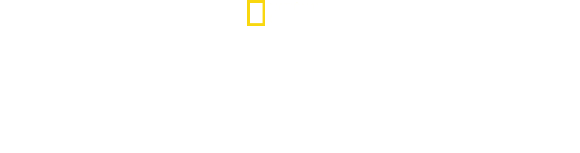 崽崽养成记