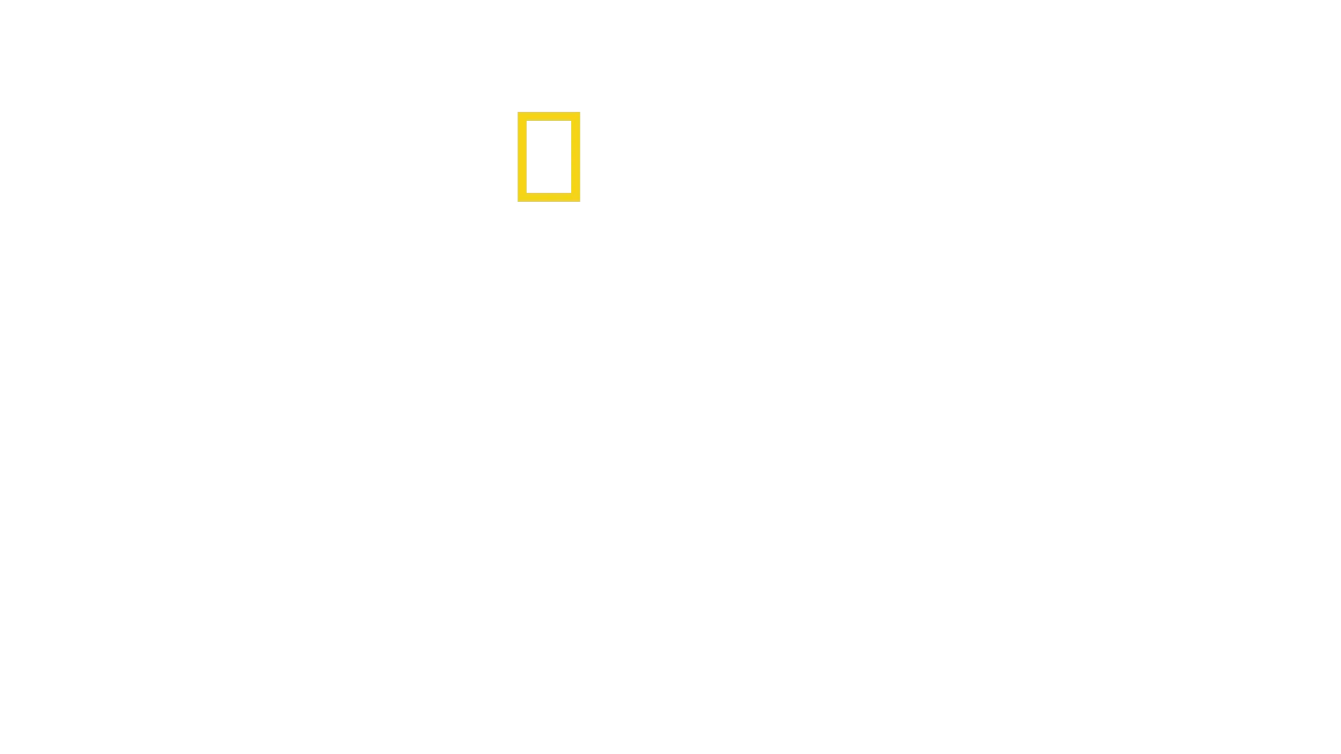 Tajomstvá slonov
