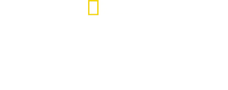 Tajomstvá slonov