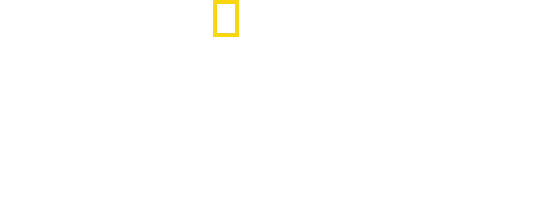 Tajomstvá slonov