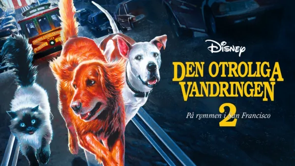 thumbnail - På rymmen i San Francisco - Den otroliga vandringen 2