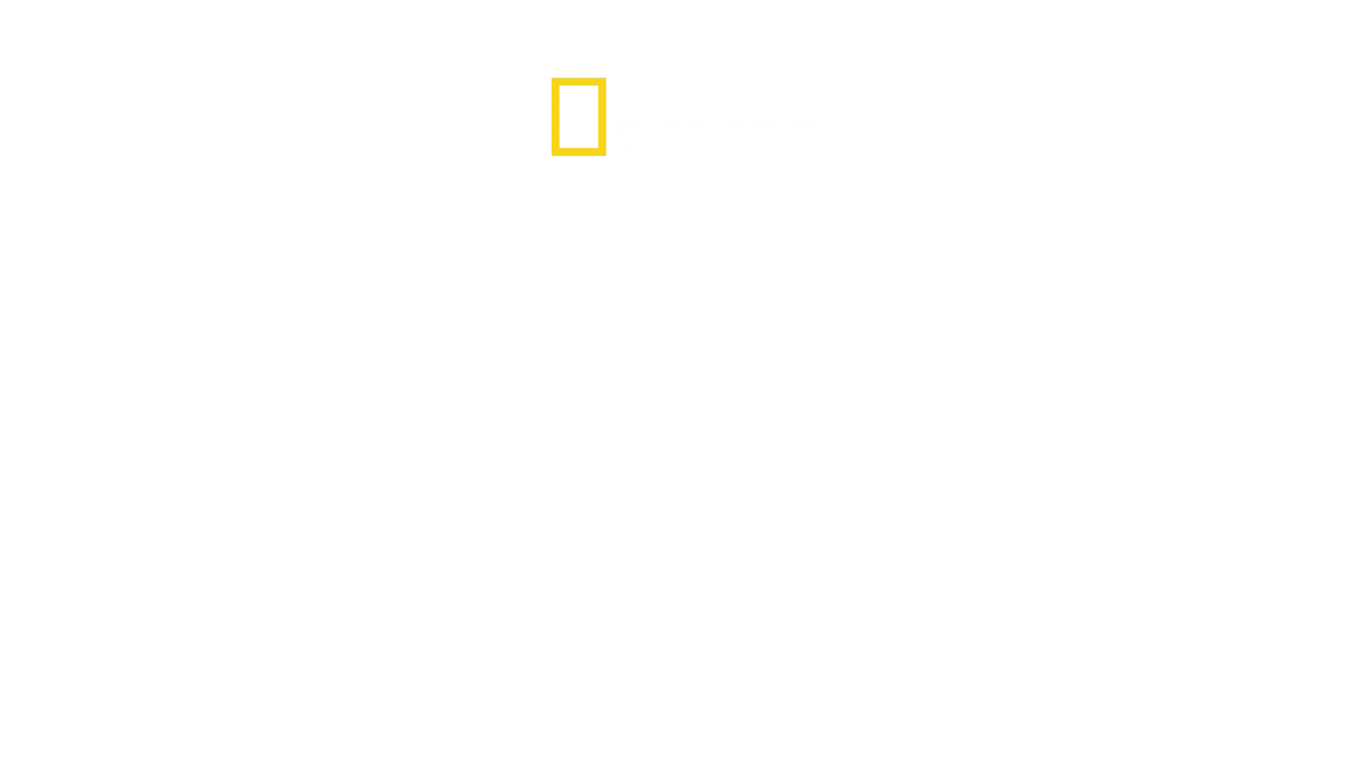 Le drame Challenger