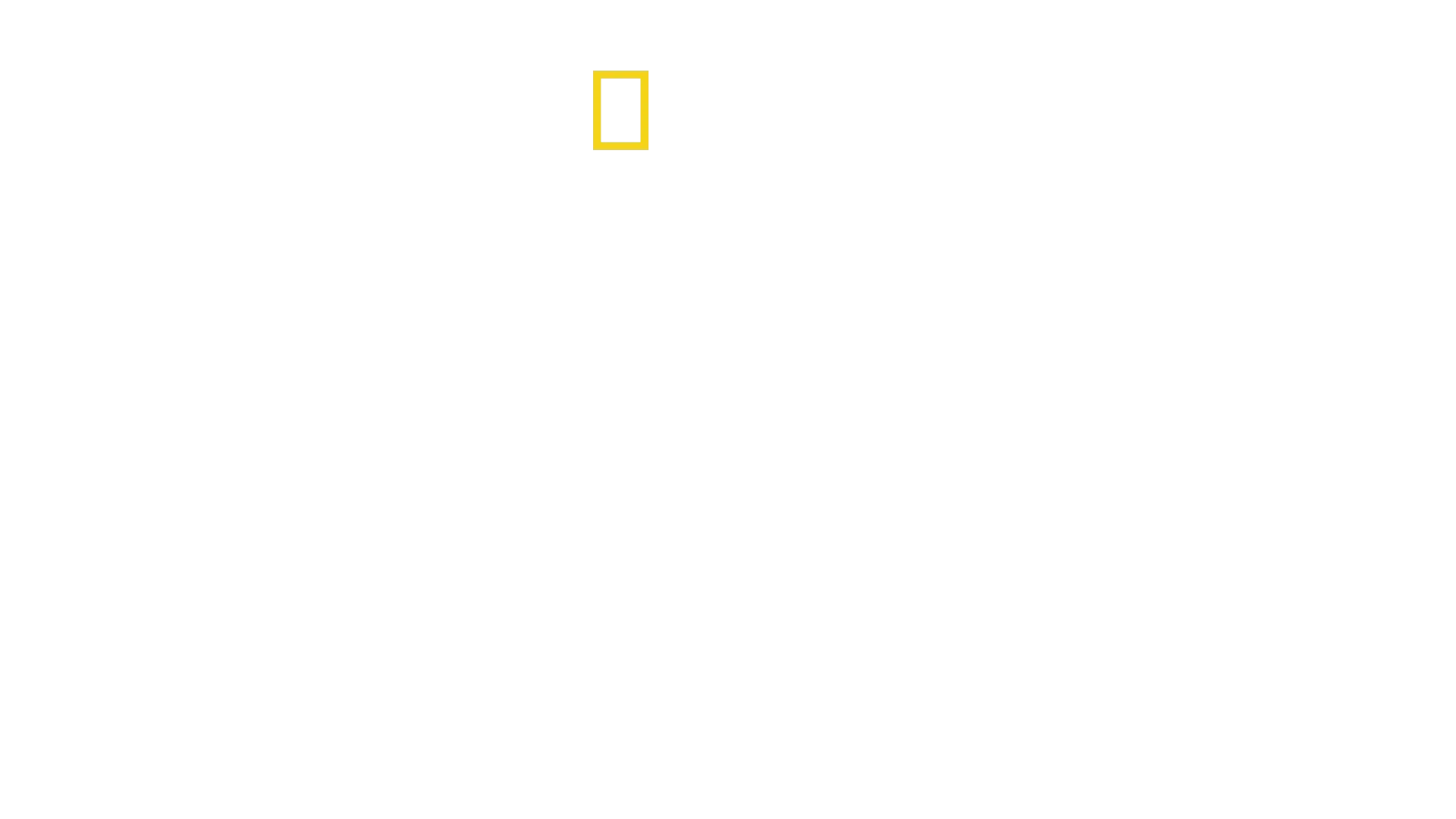 Inside North Korea's Dynasty