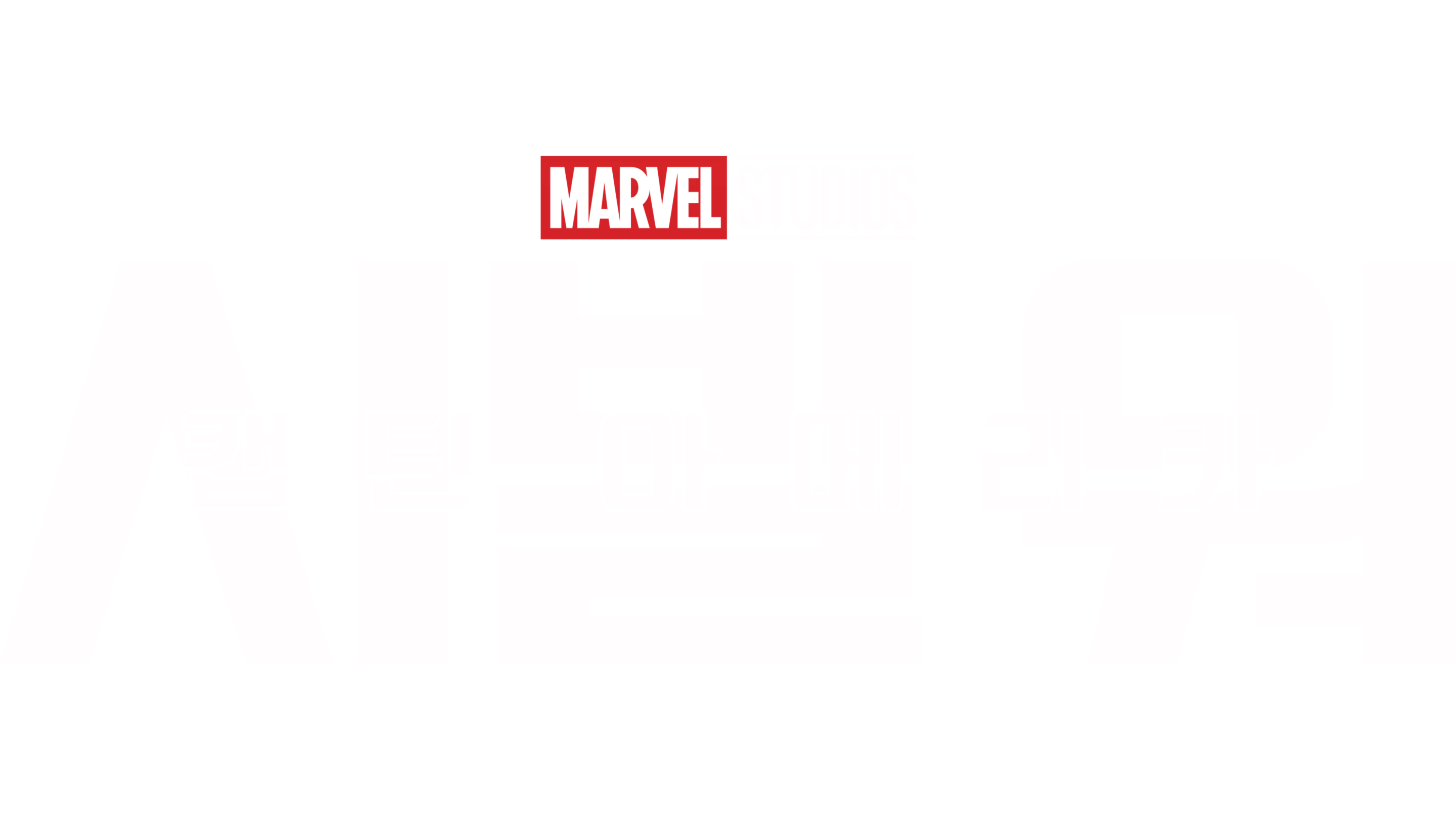 캡틴 아메리카: 시빌 워