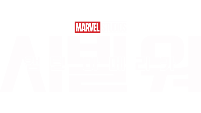 캡틴 아메리카: 시빌 워