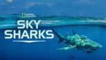 thumbnail - Sky Sharks