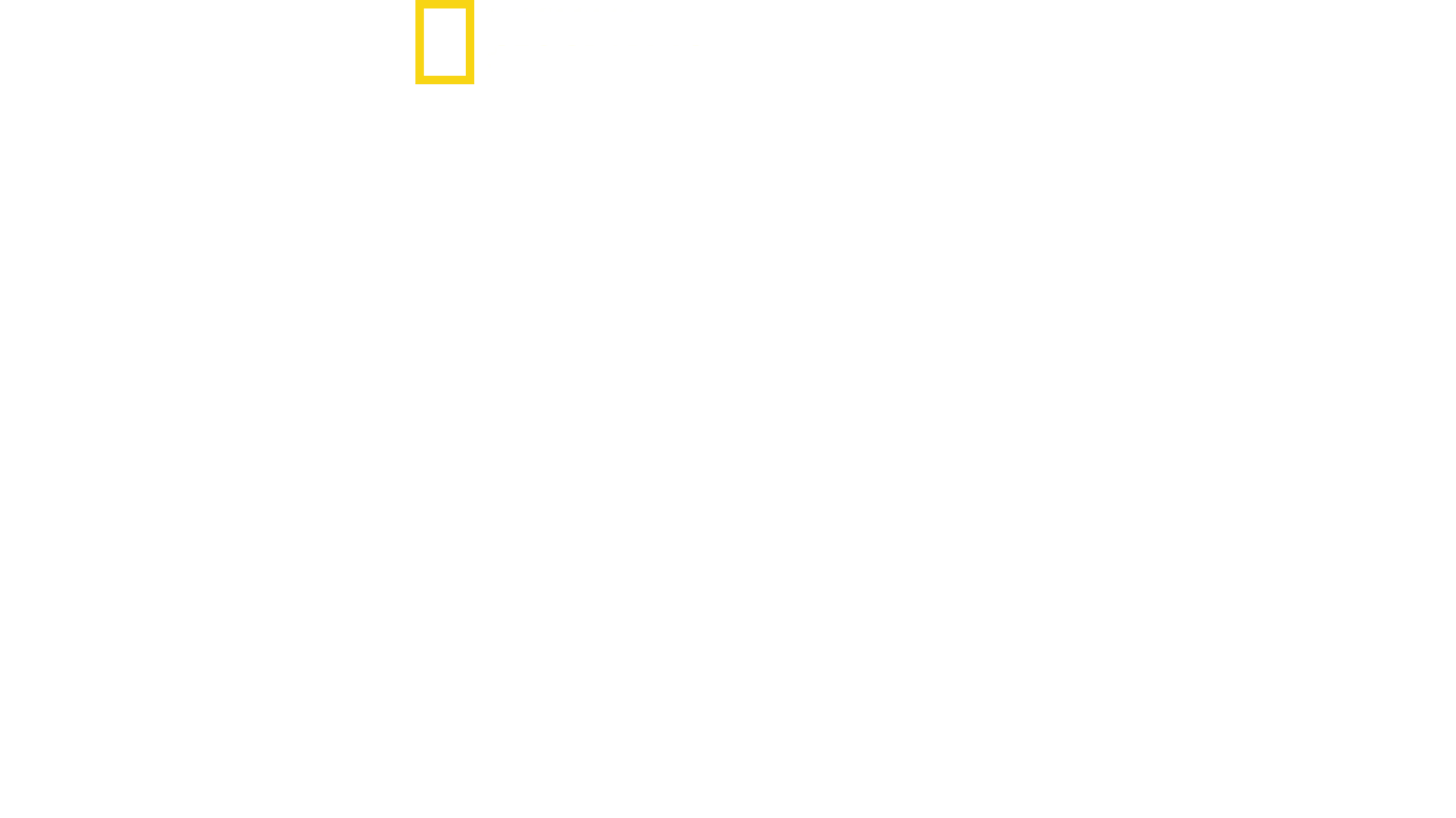 Když žraloci útočí