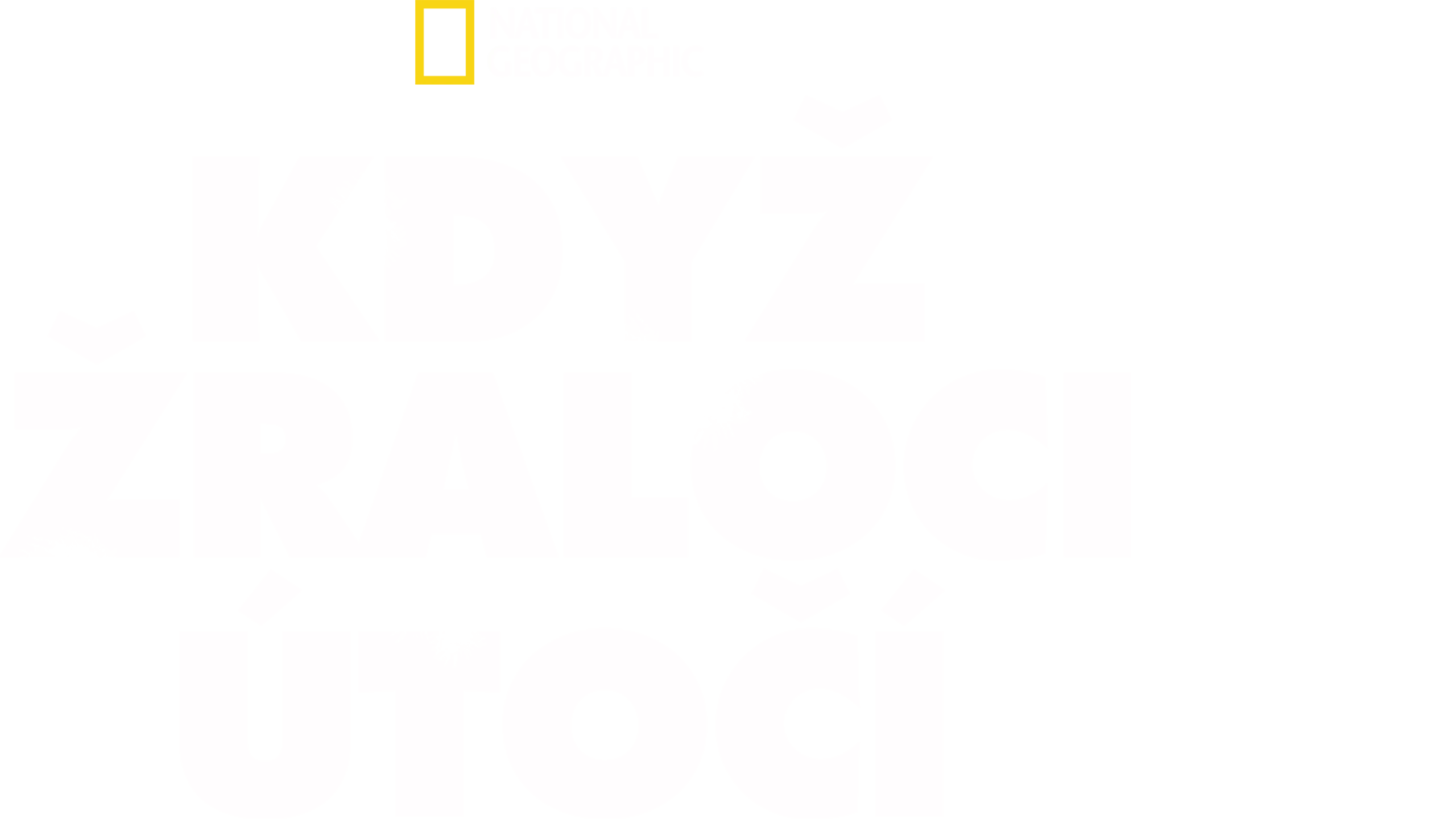 Když žraloci útočí